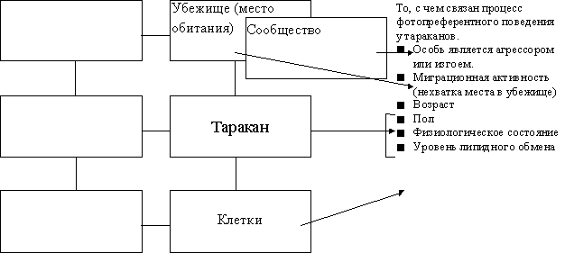 bg2.gif (5389 bytes)