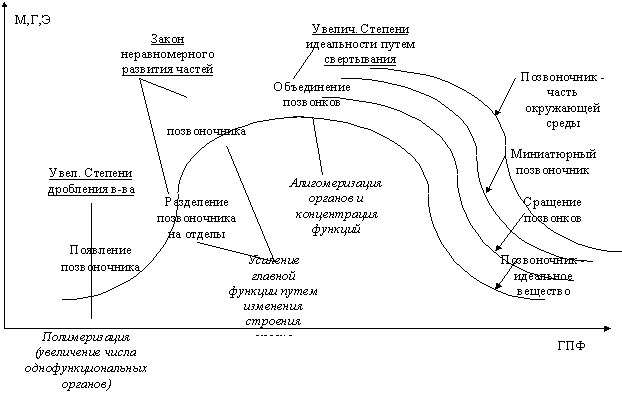 gr1.gif (7998 bytes)