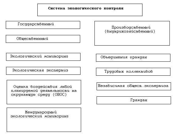 wpe2.jpg (33281 bytes)