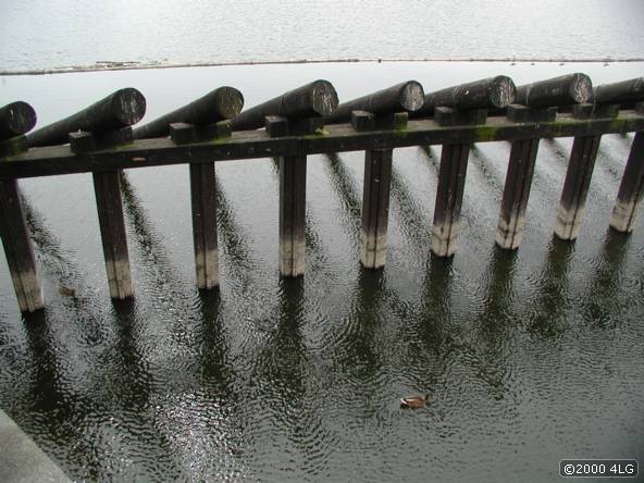 prague7.jpg