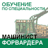 Шуйско-Виданская лесотехническая школа