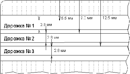 расположение дорожек