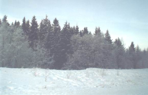 ������ ���