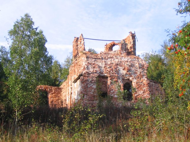 Photograph