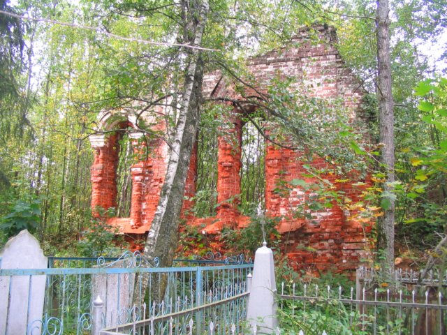 Photograph