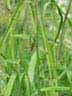 DSCN0695.JPG