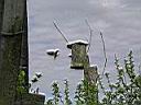 DSCN2121.JPG
