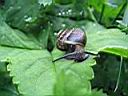 IMG_0227.jpg