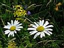 DSCN0684.JPG