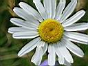 DSCN0693.JPG