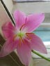 DSCN1586.JPG