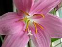 DSCN1673.JPG