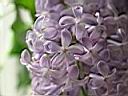 DSCN2658.JPG