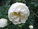 IMG_0756.jpg