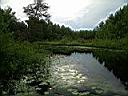 DSCN0551.JPG