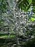 DSCN2748.JPG