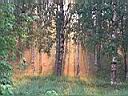 IMG_0751.jpg