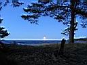 IMG_2561.jpg
