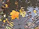 IMG_3180.jpg