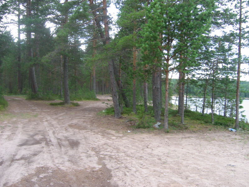 Карелия летом - фотография №32