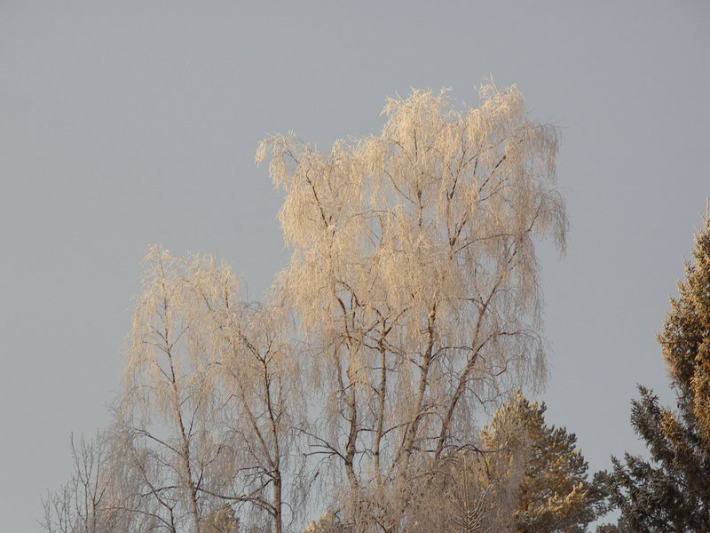 Карелия зимой - фотография №30