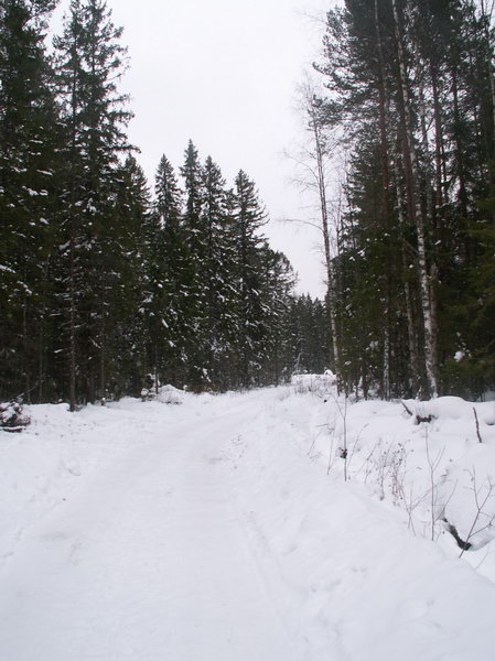 Карелия зимой - фотография №39