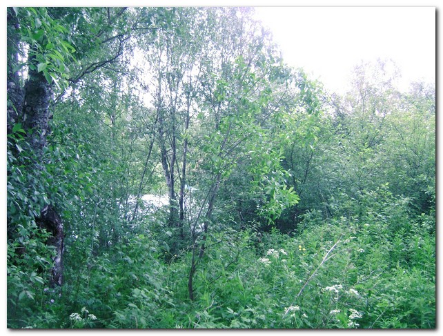 участок в Вороново