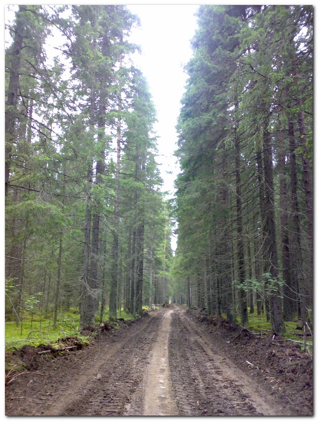 участок в Кааламо