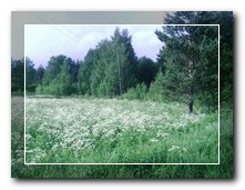 участок в Вороново