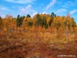 The Golden Autumn in Karelia